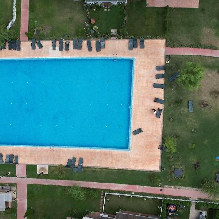 Homey 2 Cosmopolis Stefanestii de Jos Ngoại thất bức ảnh