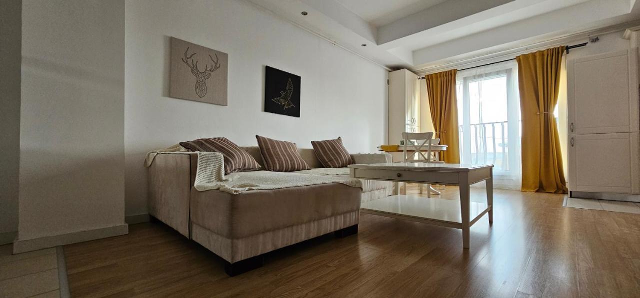 Homey 2 Cosmopolis Stefanestii de Jos Ngoại thất bức ảnh