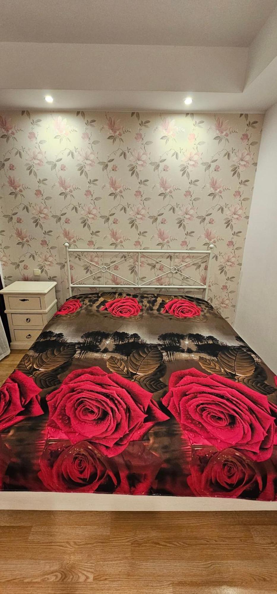 Homey 2 Cosmopolis Stefanestii de Jos Ngoại thất bức ảnh